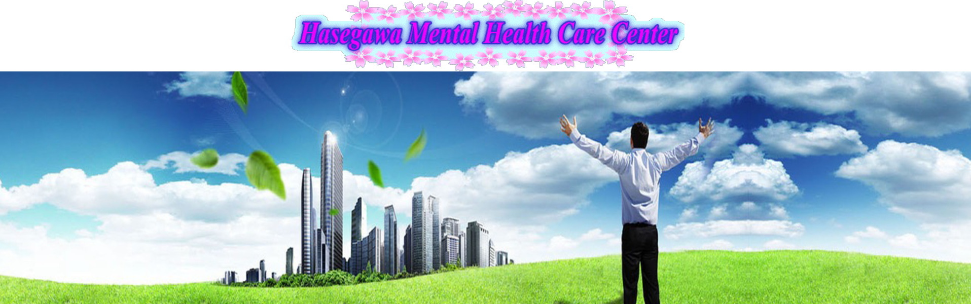 orverview of the hasegawa mental health care center