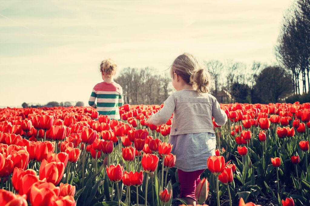 girls-children-tulips-netherlands.jpg